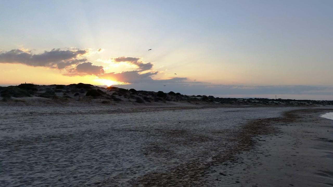 Urbanizacion Puerto Romano - Playa La Mata  Eksteriør billede