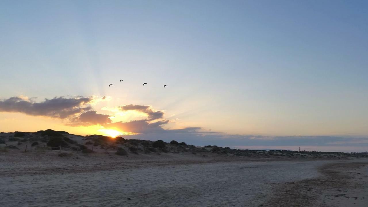 Urbanizacion Puerto Romano - Playa La Mata  Eksteriør billede